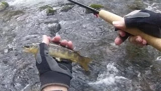 Tenkara Fishing the Oconaluftee River, Smoky Mountains NP, NC