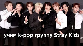 учим k-pop группу Stray Kids/учимся различать Stray Kids | vetmifi