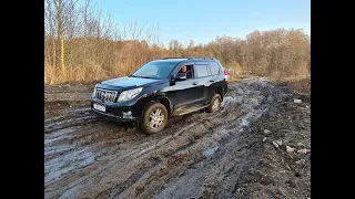 Домашний оффроад Toyota Land Cruiser Prado 150 4.0 l.