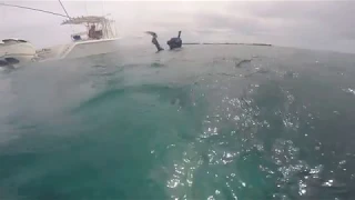 Walker's Cay   Nick Dull & Matt Borjes spearfishing for hog fish in the Bahamas