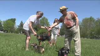 Location approved for future dog park in Bowling Green