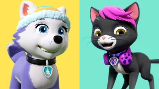 All PAW Patrol & Cat Pack Episodes 🐶🐈| PAW Patrol | Cartoons for Kids