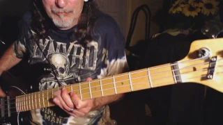 On veut des légendes live...Eddy Mitchell...Bass Cover