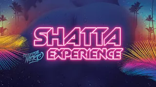 Shatta Experience (Mix Dancehall Shatta 2021)