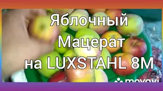 LUXSTAHL 8M Яблочный Мацерат