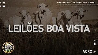 LEILÕES BOA VISTA AO VIVO - SANTA JULIANA - MG