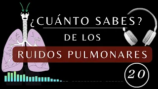Los Ruidos Pulmonares | TEST DE AUSCULTACIÓN PULMONAR: anormales #fisiologia #medicina