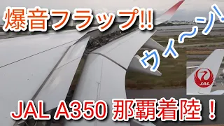 【爆音フラップ】A350のフラップは面白すぎるので、ぜひ乗って確かめてください。