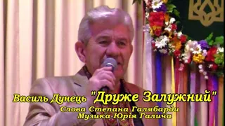 Василь ДУНЕЦЬ, "ДРУЖЕ ЗАЛУЖНИЙ" (Кавер-версія української повстанської пісні "Друже Ковалю).