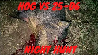 Head shooting hogs at night; Night hunting hogs with a 25-06