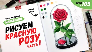 Как нарисовать розу? Часть 1 / Видео-урок по рисованию маркерами #105