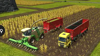 Fs16 Farming Simulator 16 - MEGA SILAGE Timelapse  !!!