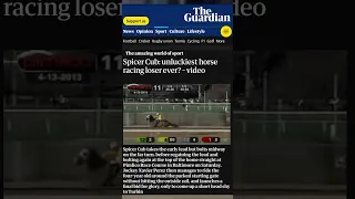Why did Spicer Cub Spook #shorts #racehorse #horseracing #horse #spicercub #pimlico #maryland