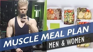 How To Make A Meal Plan For Gaining Muscle Mass (Men & Women)