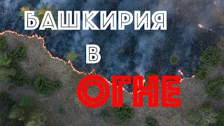 (4K) Башкирия в огне. Большой пожар в горах Южного Урала от первого лица.