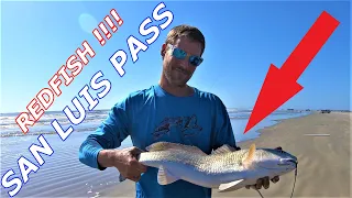 RED FISH | FISHING GALVESTON TX | SURF FISHING SAN LUIS PASS