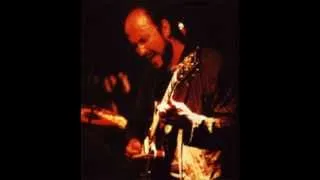 John Scofield - Groove elation (1995)