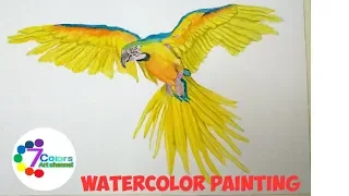 How To Paint A Macaw With Watercolor Painting, Parrot Watercolor Painting, Birds Painting.