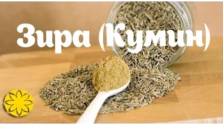 Кумин (Зира, Cumin) Amideya.com.ua