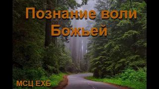 "Познание воли Божьей". В.  Перевозчиков. МСЦ ЕХБ