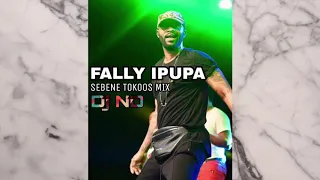 FALLY IPUPA - SEBENE TOKOOS MIX by Deejay NO