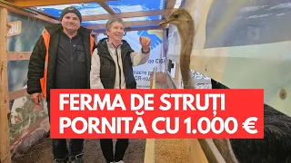 Ferma de struți pornită cu o investiție de 1.000 de euro