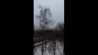 13-02-16 год. ПРОГНОЗ ОТ ВОЛШЕБНИКА КАК ВСЕГДА ПРАВДИВ.