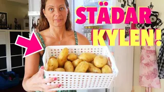 Städar, rensar och organiserar kyl och frys!