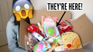 THEY'RE HERE! Huge Squishy Package! Ketchupgiri Squishies!