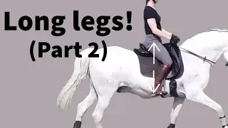 Long legs part 2: Stirrup length + best tip to get your heel down! (horse riding leg position)