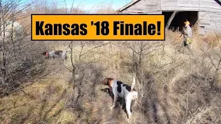 Kansas Quail Hunt 2018 Part 3-The Finale!