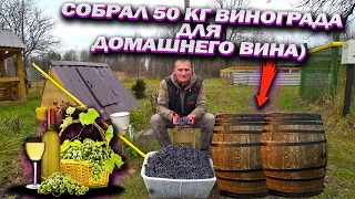 КУПИЛ ХУТОР в ЛЕСУ на КРАЮ БОЛОТА. ТРИ БЛЮДА из РУССКОЙ ПЕЧКИ! № 163.