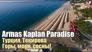 Armas Kaplan Paradise 5*, Турция, Текирова. Обзор отеля.