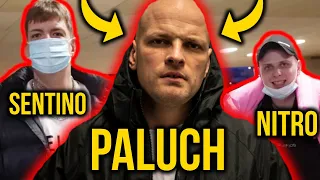 SENTINO vs PALUCH vs NITRO - historia (nie)zmyślona