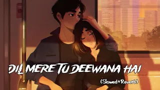 Dil mere tu deewana hai | slowed+reverb [ lofi ] | sooryavansham | amitabh bachchan