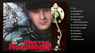 Виктор Петлюра Чёрный ворон #музыка90х #песни80х #хиты90х #музыка #песни #петлюра #шансон #шатунов