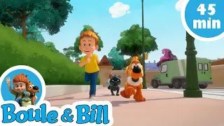 🐈Boule et Bill se font embêter par le chat Caporal 😠 - Nouvelle compilation Boule et Bill FR