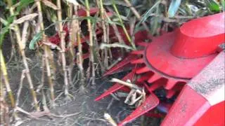 Dion F64 3-row rotary corn head for pull-typ forage harvesters