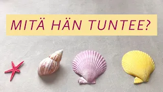 MITÄ HÄN TUNTEE – NYT?  ❤️ Valitse esine 💔  Ajaton kanavointi 🌈✨