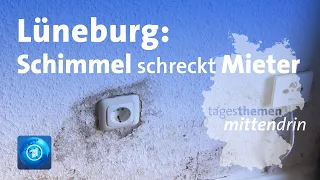 Lüneburg: Schimmel schreckt Mieter | tagesthemen mittendrin