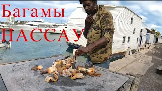 Багамы Нассау. Как живут люди в РАЮ? Первое впечатления