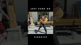 Bruce Lee's Jeet Kune Do | Sidekick |#shorts