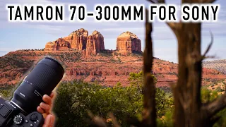 Is There A High Quality Telephoto Lens For Sony on a Budget? My Tamron 70-300mm Review