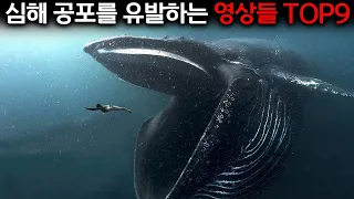 (심해공포증주의) 심신미약자는 절대로 클릭하지마세요.