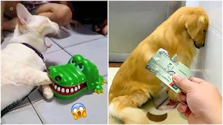 AWW SO FUNNY😂😂 Super Dogs And Cats Reaction Videos 2021 || The End