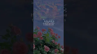 الله لطيف بعباده من سورة الشورى بصوت الشيخ رعد الكردي