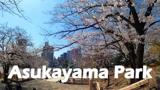 【4K】2021年 桜の名所シリーズ「東京 飛鳥山公園」 Cherry Blossoms Spots "Asukayama Park in Tokyo".(Mar.2021)