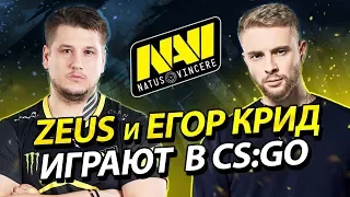 NAVI Zeus и Егор Крид играют в CS:GO