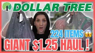 HUGE 224 ITEMS *DOLLAR TREE HAUL* SORTING THROUGH WHAT I KEEP AND WHAT GOES! $280.00 VALUE