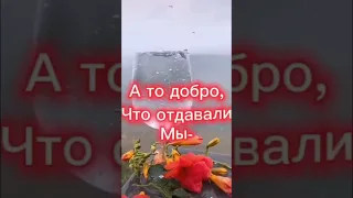 55 ❤️🤩Вот лучше и не скажешь